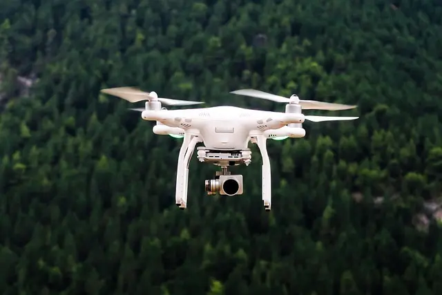 Top Drones for Precision Agriculture
